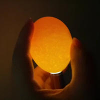 Incubadora, probador de huevos, lámpara LED para velas, equipo súper frío, Mini llavero de acero inoxidable, linterna para incubación de aves de corral, 1 unidad - details 4