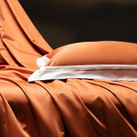 Juego de ropa de cama de lujo de algodón puro, antibacteriano, Color sólido, 5A, con algodón egipcio para cama de 1,2 m, novedad de 2025 - details 12
