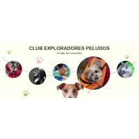 ALLSOPETS
