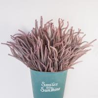 Rama de pino Artificial hecha a mano, corona artesanal, regalos, árbol de pino Artificial hecho a mano, plantas verdes falsas elegantes realistas - details 2
