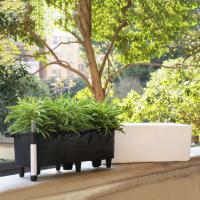 Riego automático ETA con indicador de nivel de agua para contenedores rectangulares grandes para plantar bonsái en hogares, jardines y - details 3