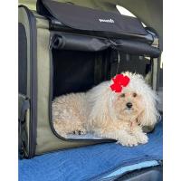 Transportin Perro Plegable