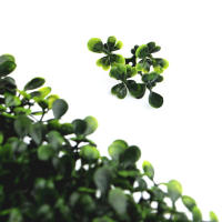 Paneles de Pared de Hierba Artificial 48 Piezas Hedera de Ciervo Decoración Verde Privacidad - details 2