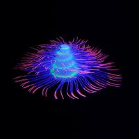 Acuario de silicona para paisajismo, plantas acuáticas artificiales coloridas con efecto fluorescente, árbol de Navidad suave, Coral, mesa - details 7