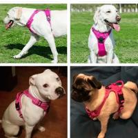 Chaleco Reflectante Ajustable y Transpirable para Perros Correa de Pecho con Barnas para Perros Pequeños, Medianos, Grandes Accesorios para Mascotas - details 1