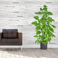 Columna de escalada de plantas, poste de musgo Sphagnum, soporte de cultivo de plantas, soporte de retención de agua, palo de extensión de plantas rico en fertilizante - details 14
