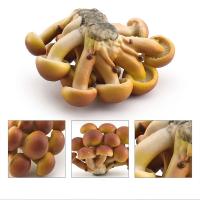 Figuras de hongos modelo vegetal Matsutake Oyste paisaje miniaturas simulación hongo planta Artificial modelo de hongo - details 6