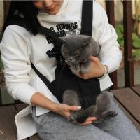 Bolsas de viaje ajustables para perros y gatos, mochilas para mascotas, bolsos para viajes al aire libre - details 13