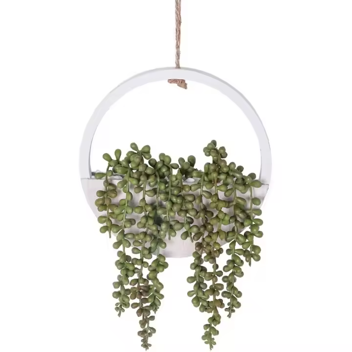Juego de 2 Plantas Suculentas Artificiales Maceta de 30,5 cm con Cordón de 21 cm - 1