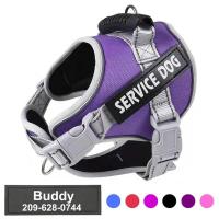 XS-M arnés chaleco Labrador Retriever pecho ropa cuerda medio grande perro reflectante ustable al aire libre caminar suministros - details 1