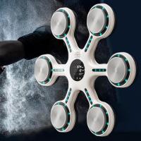Music Boxing Training Machine Electronic Music Boxing Wall Target Reaction Target for Sanda Taekwondo Response Coordination