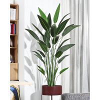 planta artificial