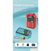 Radio FM de Bolsillo Mini Receptor de Radios Digitales de Alta Sensibilidad - details 7