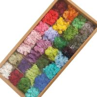 Musgo eterno, manualidades DIY, hierba, 20/40/100g, plantas verdes artificiales, decoración del hogar, habitación, jardín, mini país, hierba falsa - details 7
