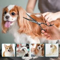 Tijeras de Acero Inoxidable para Mascotas Compactas y Curvas para Peluquería Aceptables para Perros - details 7