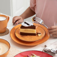 Vancasso Navia-vajilla de cerámica de color Tropical, juego de 16 piezas con plato de cena, plato de postre, tazón de 800ml, juego de tazas y vajilla - details 6