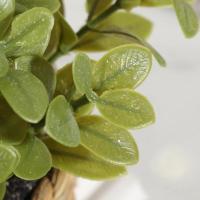 Plantas artificiales de Eulyptus, material de pila de hierba tejida de 11cm, decoración del hogar - details 5