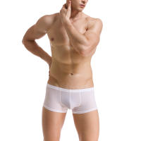 Ropa interior sexy para hombre Mini bóxer de seda de hielo Bragas ultrafinas transparentes Transparente Calzoncillos Homme Cuecas - details 9