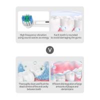 Cepillo de dientes eléctrico de cabeza redonda giratorio para adultos, cepillo de dientes sónico para el hogar, carga USB, limpieza - details 9