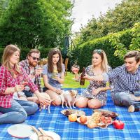 Manta de Picnic al aire libre impermeable, estera plegable para acampar, playa, césped, parque, boda - details 4
