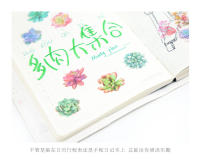 Pegatinas de Scrapbooking Kawaii de Plantas Succulentas en PVC Transparente 6 Hojas/Paquete Decoración para Diario y Papelería de Marca nbyinto - details 5