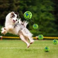 Juguetes para perros bola de sonido rodante auto hi bola alivio de dentición bola de masticación bola de sonido para mascotas - details 2