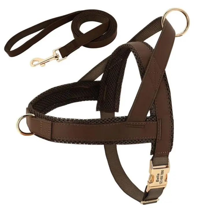 Collar de cuero para Perros, juego de Camisas, Chaleco de Malla para mascotas, Identificación personalizada, cables para Perros Pequeños, medianos y grandes - 1