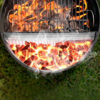 Grill de carbón de acero inoxidable para cocinar con depósito extraíble kettle grill grill grill 22 "fish grill - details 0