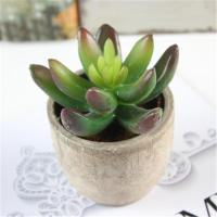 Plantas Suculentas Realistas Mini Jardines Nsai para Decoración del Hogar, Balcón, Oficina - details 5