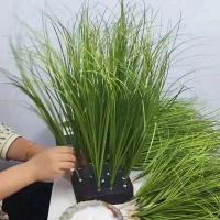 Decoración del hogar de hierba pequeña simulada para decorar pastizales, cañas, cebollas y plantas verdes falsas. - details 4