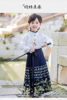 Conjunto de Falda Hanfu para Niñas Otoño 2025 Traje de Estilo Chino Antiguo para Actuaciones de Recitación Zapatos y Ropa - details 8