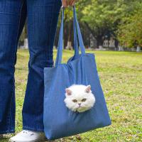 Mochila Transportadora Ligera y Transpirable para Gatos y Perros Pequeños - details 13