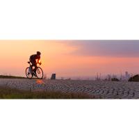 casco bicicleta adulto
