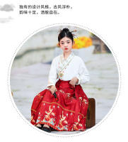 Falda con cara de caballo para niña, conjunto Hanfu, nuevo estilo Ming Tang de primavera para niños grandes, disfraz antiguo de estilo chino - details 12
