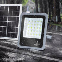 Aigostar - Foco proyector LED solar con mando a distancia, 30W, 6500K luz blanca. Resistente al agua IP65. Perfectos para exterior jardín, patios, caminos o garajes - details 3