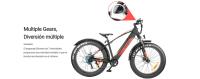 EleglideTankroll Bicicleta Eléctrica de 740W, batería de 480Wh, negro, aluminio, soporta 120 kg, 25 km/h, Peso 27 kg, Shimano, 7 velocidades, IPX4, pantalla LED, autonomía 65-70 km - details 2