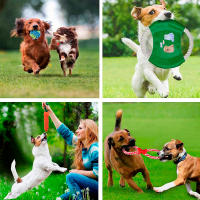 Juguetes mordedores para perros, cuerda para masticar, juguete duradero para morder para perro, herramientas de entrenamiento, 100% Algodón - 10 Piezas - details 1