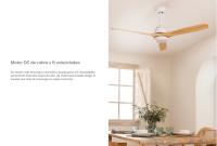 Create - Ventilador de Techo Silencioso con Motor DC y Aspas de Madera Natural - 6 Velocidades - WIND CUP - details 2