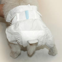 SMELL & SMILE Pañales Desechables para Perro Pañales para Perros Hembra Pañal Sanitarios para Perro Mascotas Bragas Higiénicas Suaves absorbentes (L) - details 5