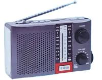Radio AM/FM portátil con linterna incorporada y altavoz Sanda SD-4011 - details 0