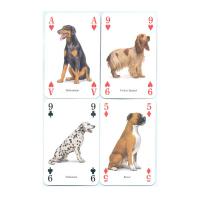 Heritage Playing Card Co Heritage Baraja de Poker Didáctica Inglés Gatos Perros Caballos Animales Mariposas Pájaros Fósiles Especias Peces Frutas Hierbas Faros Árboles Gemas Minerales Delfines Ballenas Setas Insectos Arañas Indios Rosas Salvajes Fauna - details 10