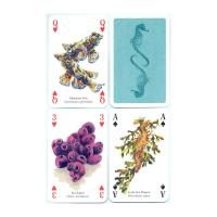 Heritage Playing Card Co Heritage Baraja de Poker Didáctica Inglés Gatos Perros Caballos Animales Mariposas Pájaros Fósiles Especias Peces Frutas Hierbas Faros Árboles Gemas Minerales Delfines Ballenas Setas Insectos Arañas Indios Rosas Salvajes Fauna - details 46