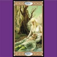 Naipecoleccion Lo Scarabeo Tarot de 78 cartas Elfos Duendes Príncipe Alberich Instrucciones en inglés, italiano, español, francés y alemán Adultos Cartas adivinatorias Esotérico Esoterismo Aprender - details 3