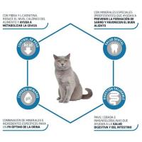 Advance Adult Sterilized Feline, 1.5kg, 3kg, 10kg, Pienso para Gatos Esterilizados con Pavo y Cebada, Affinity - details 0