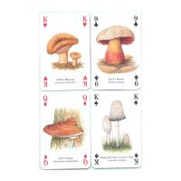 Heritage Playing Card Co Heritage Baraja de Poker Didáctica Inglés Gatos Perros Caballos Animales Mariposas Pájaros Fósiles Especias Peces Frutas Hierbas Faros Árboles Gemas Minerales Delfines Ballenas Setas Insectos Arañas Indios Rosas Salvajes Fauna - details 58