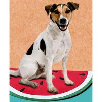 COTTECOTA-Alfombra Fresco Mascotas Sandia - Limón 29 x 45 cm Alfombrilla Frio Refrescante para Perros Gatos Manta Refrigerante Perro Cama Perro Refrescante para Mascotas Pequeñas  Colchón Dormir de Verano para Gatos Cachorros Casa Viaje Manta . Ref.45138 - details 8