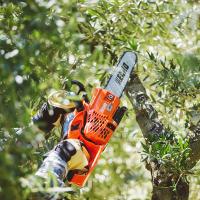 Motosierra CS 2511 WESC /25 0.043" - details 5