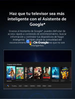 Xiaomi TV Stick, 4K-EU, 2 versions - details 4