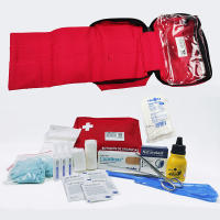 DEPALMERA Pharma✮ Botiquín Primeros Auxilios Neceser Extensible Completo Emergencia Homologado, Para Viaje y Acampada, Coche, Supervivencia, Excursión, Montaña, Senderismo, Aventura, Rojo - details 0