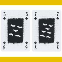 Cartamundi Baraja de poker de 55 cartas de Batman DC Comics Héroe Superhéroe Cine retro vintage Murciélago Joker Juego mesa Jugar Colección Coleccionable - details 2